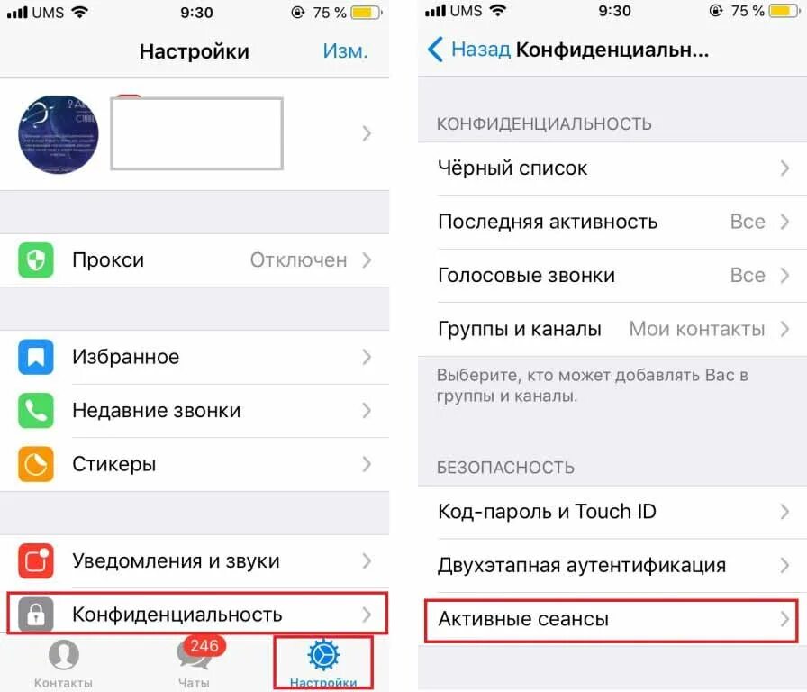 Как в телеграмме поставить статус был недавно. Где активные сеансы в телеграмме. активные сеансы в телеграмме на айфоне. сеансы устройства в телеграмме. активные сеансы.