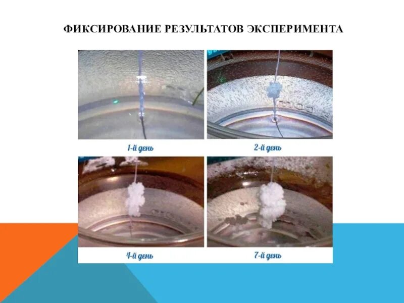 Результаты эксперимента пройти. Фиксация результатов опыта. Способы фиксации результатов эксперимента. Фиксирование клеток опыты. Фиксирование результатов по эксперименту.