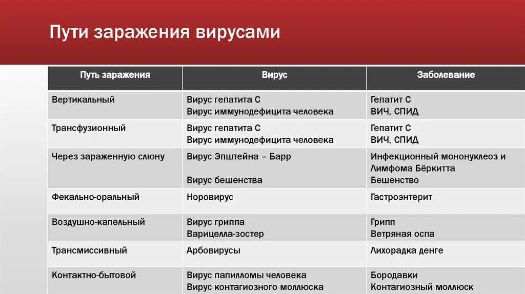 Возбудители инфекционных заболеваний таблица. Болезни вызываемые вирусами таблица. болезни вызываемые бактериями и вирусами таблица. основные бактериальные заболевания человека. пути заражения вирусами.
