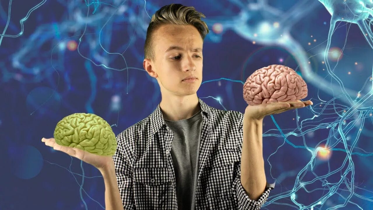 Braining man. Мозг подростка. Изучение мозга. Наука мозг.
