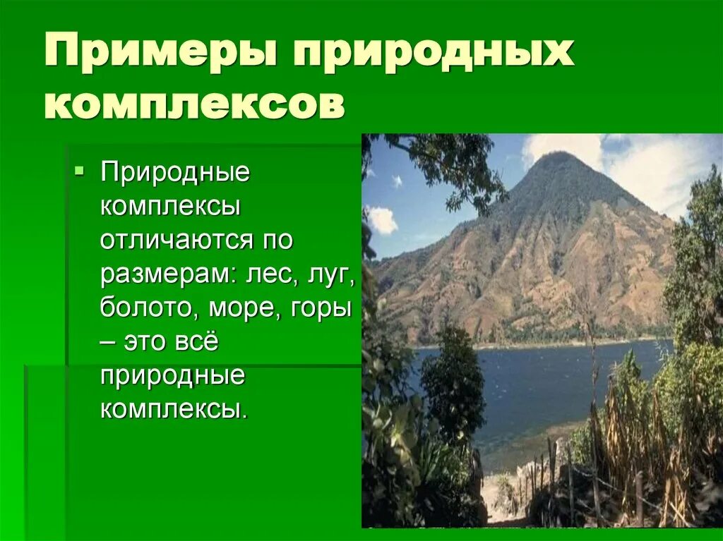 Природные комплексы 6 класс география конспект. Природные комплексы. Примеры природных комплексов. Название природного комплекса. Природные комплексы по размерам.