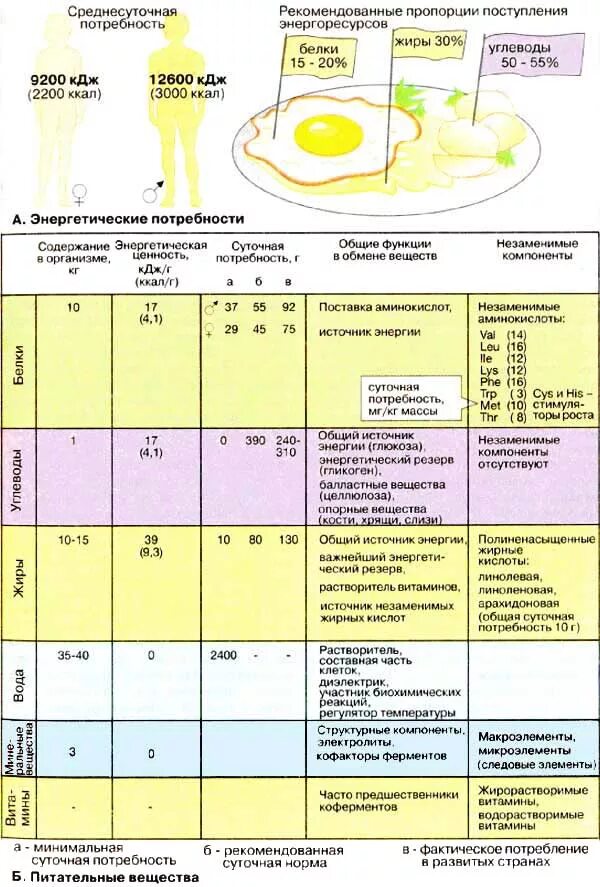 Углеводы кдж г. Белки жиры углеводы витамины Минеральные вещества. Потребности в пище и питательных веществах. Основные питательные вещества таблица. Питательные вещества Минеральные вещества.