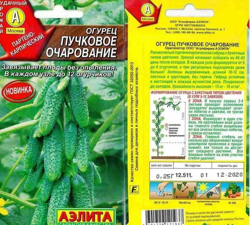 Какие семена огурцов купить для открытого грунта. Огурец пучковое очарование f1. Огурец пучковое великолепие f1. Огурец корнишон пучковый урожай f1. Огурцы семена пучковые сорта.