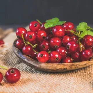 Ягоды красной смородины