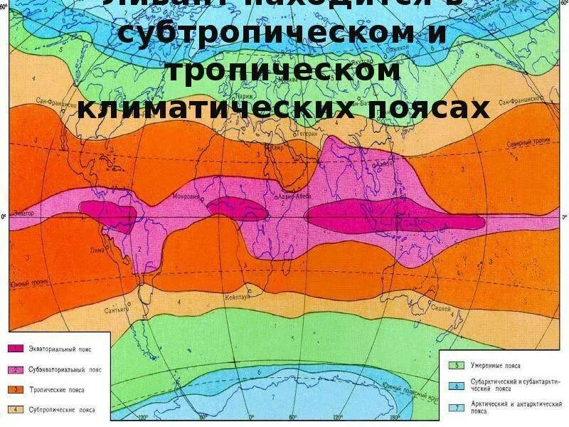 Географическое расположение субтропического пояса Тропический субтропический