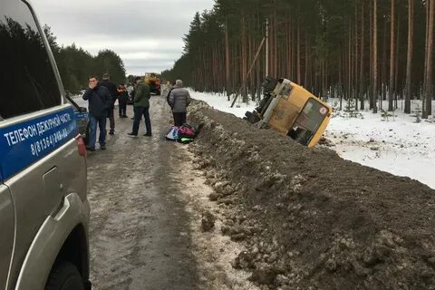 Погода янега