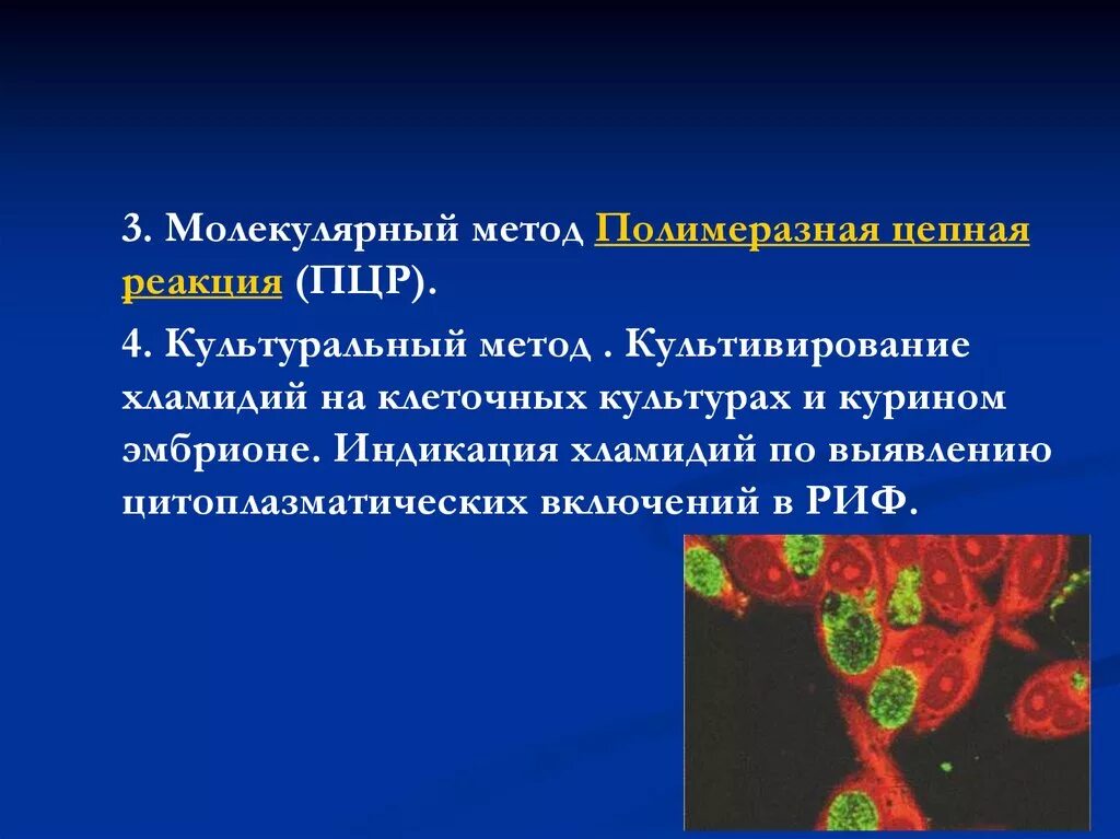 Культуральный метод исследования хламидий. Методы культивирования хламидий. Способы культивирования риккетсий. Хламидии методы культивирования.