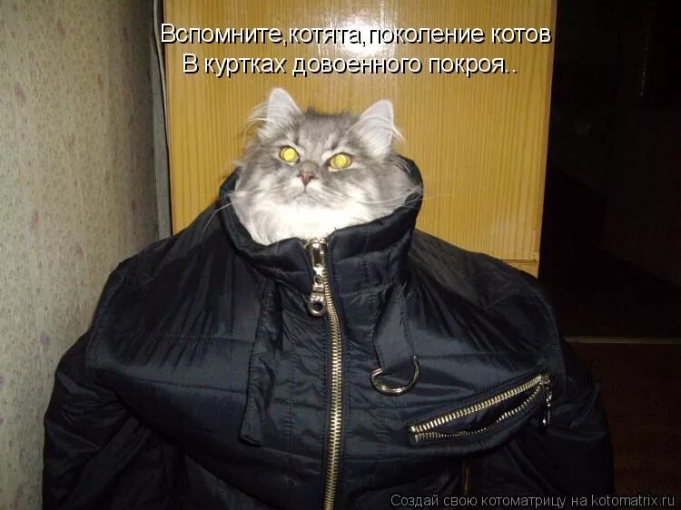 Собака в красной куртке мем Когда ты старый пес, в полном грехов городе Пикабу