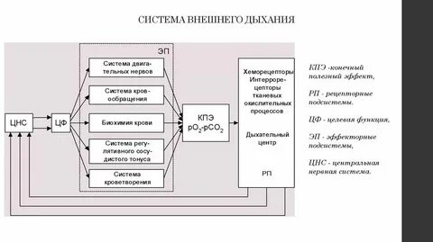 Поиск других систем