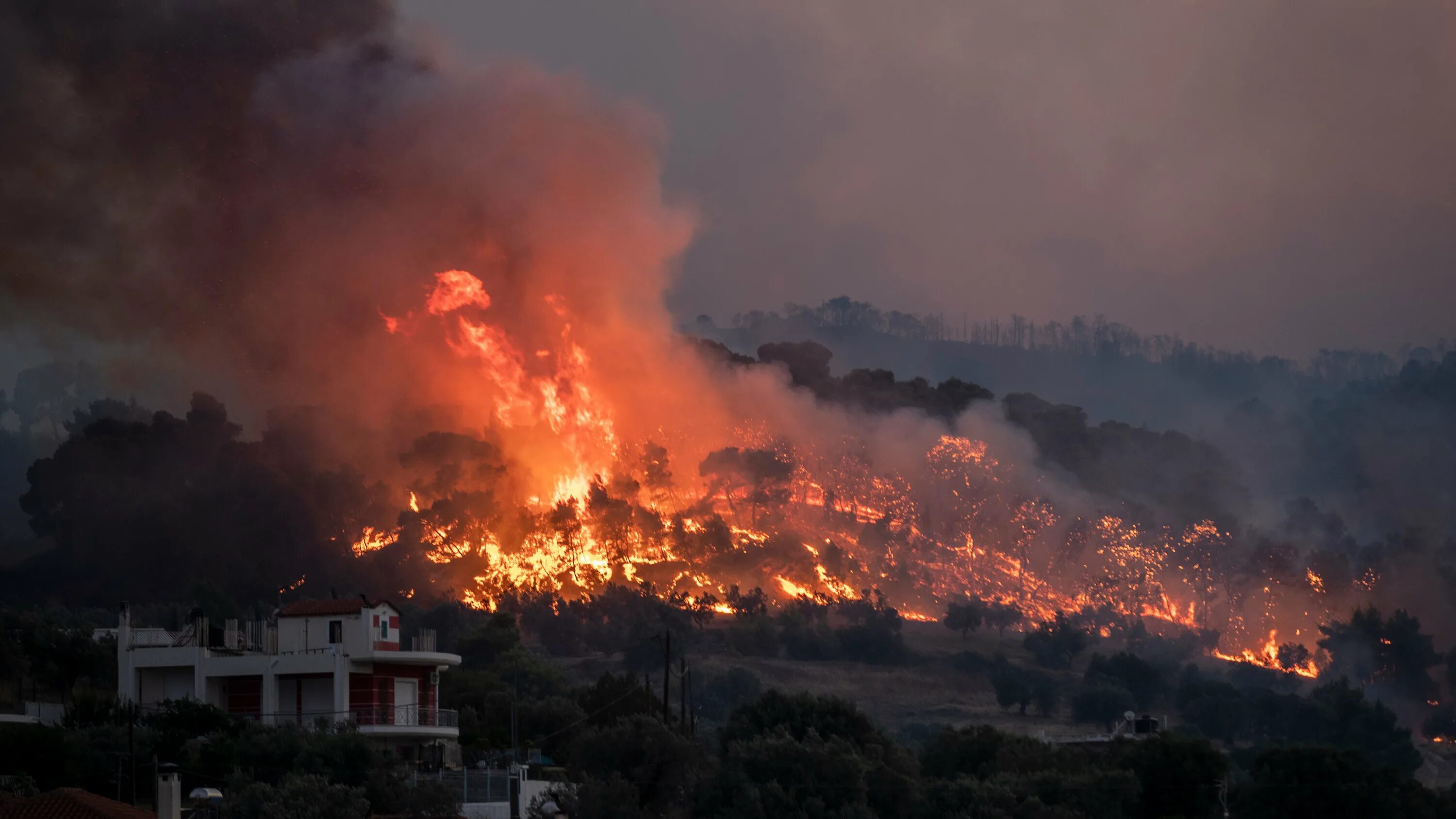 Катаклизм греки. Пожары в Греции 2021. Природные катаклизмы. Пожар в Италии. Стихийные бедствия пожар.