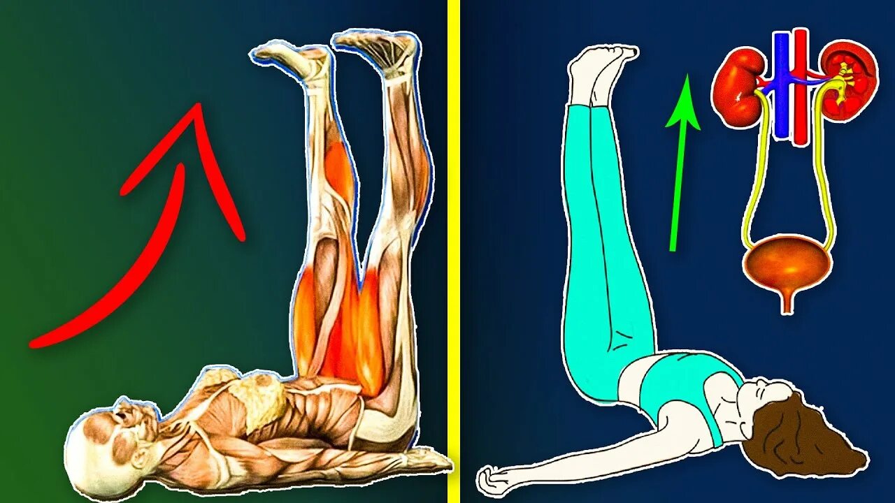 Почему подъем. Ноги вверх 20 минут. Ноги к верху польза. Если лежать ногами вверх каждый день. Ноги вверх у стены польза.