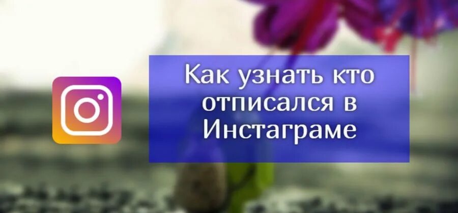 Кто отписался в инстаграме. Как понять кто отписался в инстаграме. Инстаграм кто отписался айфон