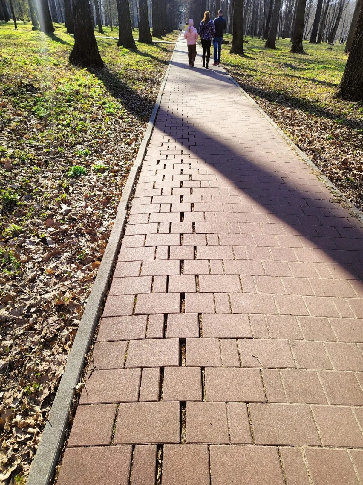 Трещина дорожка. Парк в Богородицке Тульской области. Дорожка в парке. Парковые дорожки. Современные парковые дорожки.