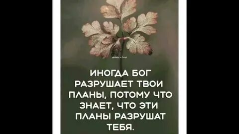 Потому что планы