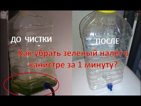 Очистка канистр от зелени. Как почистить канистры для воды?. Очистка бутылей от зелени. Канистра зеленый налет. Чем отмыть зеленый налет