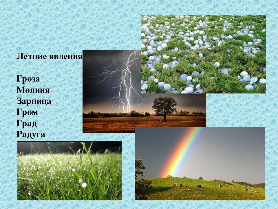 Летние природные явления. Природные явления летом. Летние явления в неживой природе. Летние явления в живой природе.