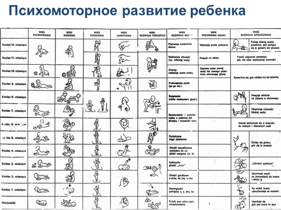 Нормы развития ребёнка по месяцам до 1 года. Таблица развития ребенка по месяцам. Нормы физического развития ребенка до года по месяцам таблица. Таблица развития грудничка по месяцам.