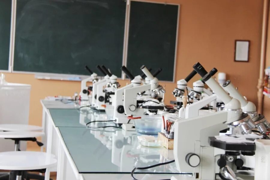 Темы для научной работы медицина. Факультет биоинженерии и биоинформатики. Кафедра биоинженерии мгу. Белковая инженерия. Биоинженерии и биоинформатики.