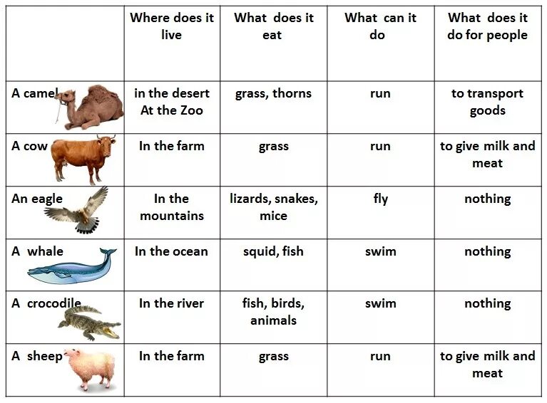 Where can you work. Животные на английском языке. Animals таблица. Животные в английском языке таблица. На англ животные таблица.
