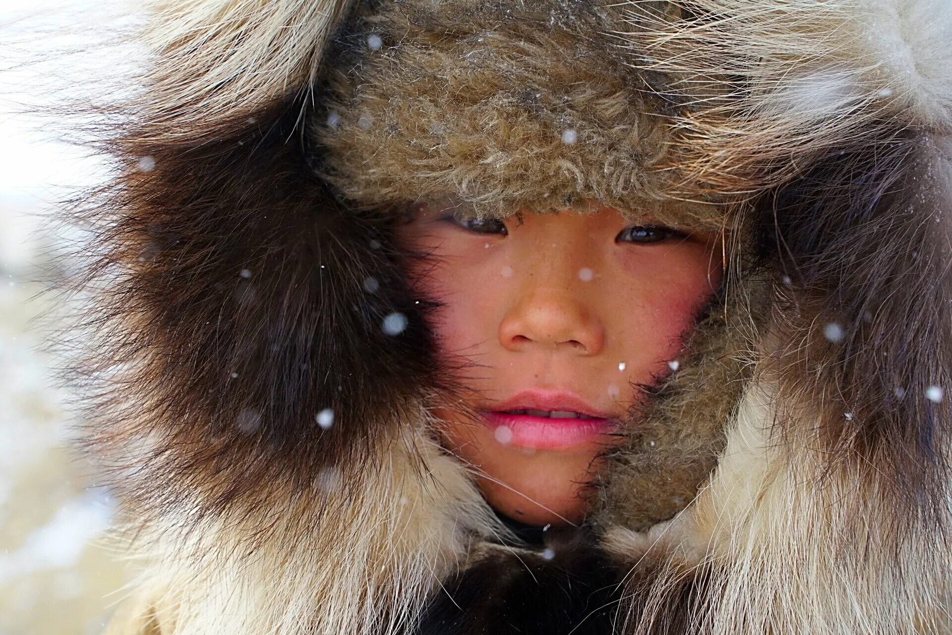 северный путь видео. великий северный путь документальный фильм. великий северный путь (2019). русское географическое общество документальные фильмы. великий северный путь кино.