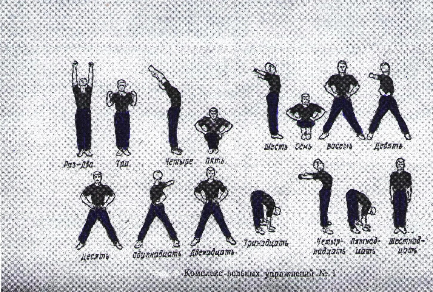 Армейский комплекс вольных упражнений 1 2 и 3. НФП комплекс вольных упражнений 1. Комплекс вольных упражнений 3 для военнослужащих. Комплекс вольных упражнений для военнослужащих 1 и 2. Комплекс армейский