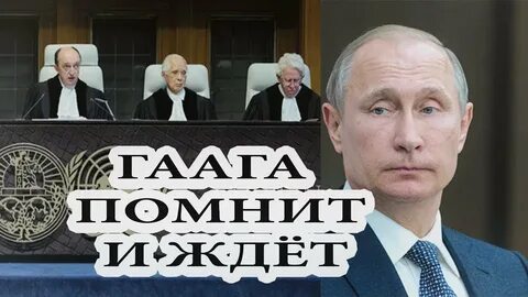 Под трибунал