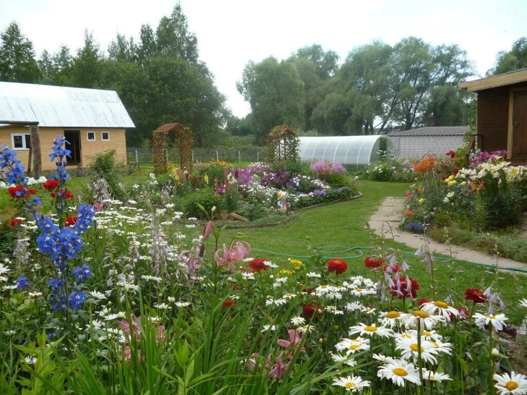 Огород в июне. Сад и огород в деревне. Сад и огород в деревне. Обустройство дачного участка 6 соток. Огород.