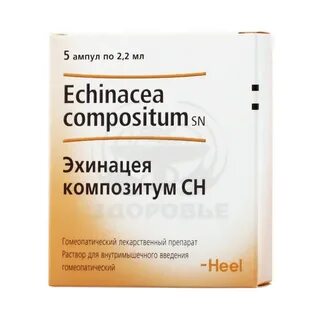 Эхинацея композитум ампулы применение отзывы