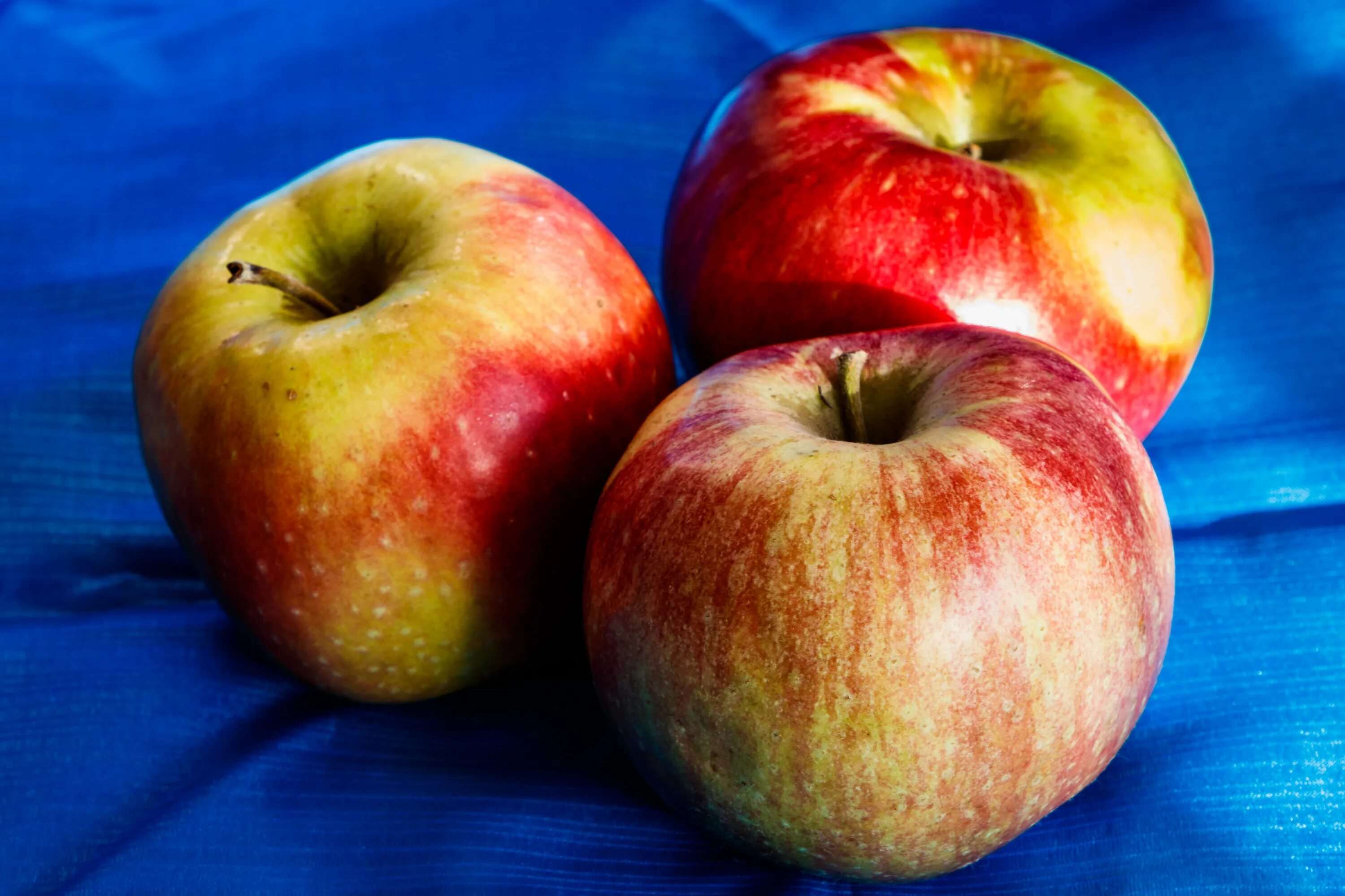 Яблоко фрукт или овощ. Яблоко. Красивые яблоки. Сочное яблоко. Яблоко фото картинки.