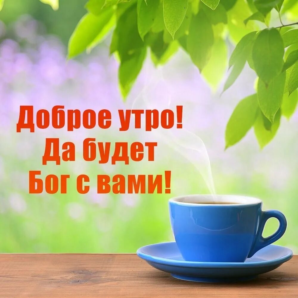 Доброго утра божественного дня. С добрым утром. открытки с добрым утром. пожелания доброго утра. открытки с добрым утром красивые.