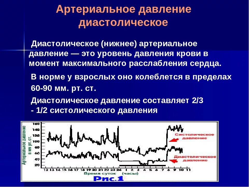 Нижнее давление ниже 60 причины. Диастолическое ад. Диастолическое давление. Причины повышения диастолического ад. Систолическое артериальное давление.