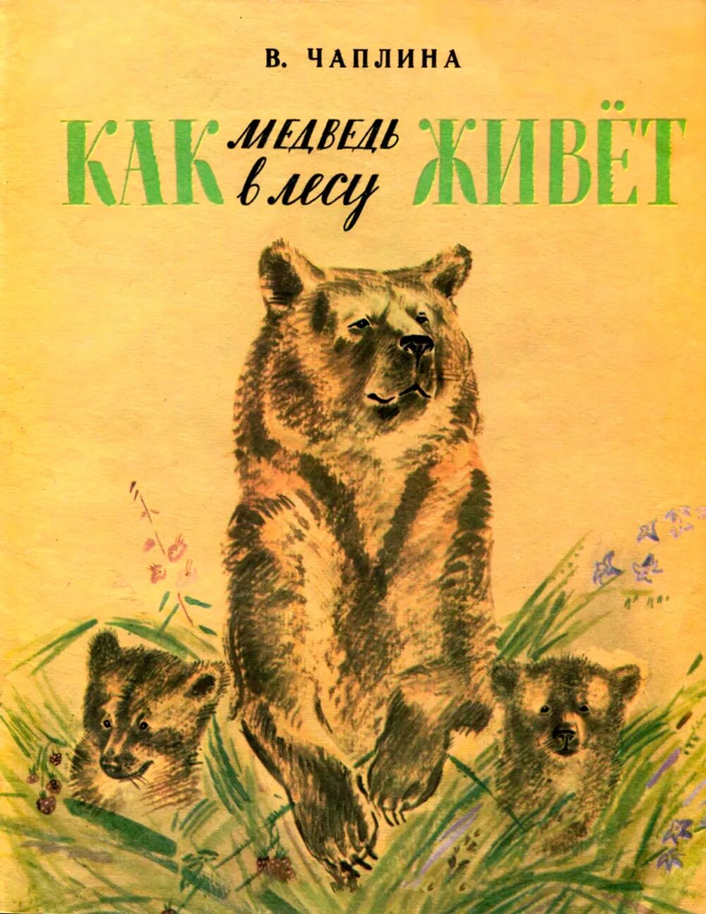 "рычик и ласка". Чаплина читать. Чаплина читать. Книга мои питомцы чаплина. Чаплина читать.