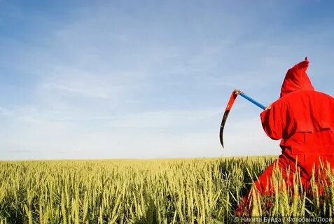 Red reaper