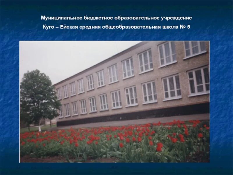 Куго-Ейская школа школа. 5 Школа Ейск. Ейская школа номер 5. Муниципальное образование 5 школа