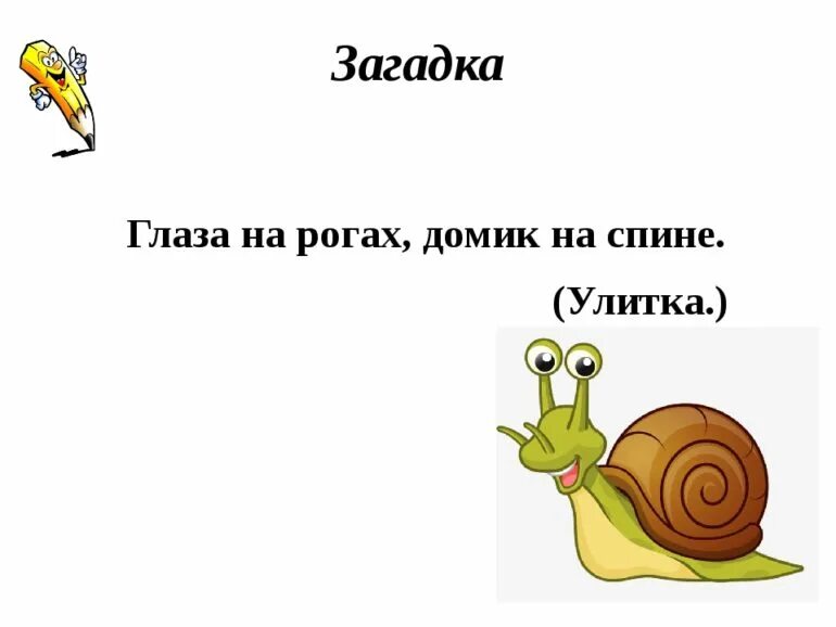 Загадка про улитку. Загадка про улитку для детей. Загадка про улитку для дошкольников. Загадка про улитку для малышей.