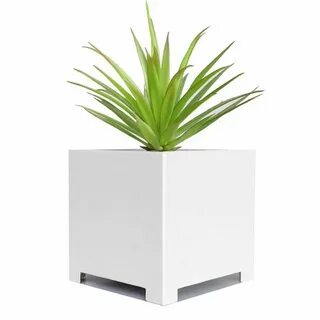 Plant cube