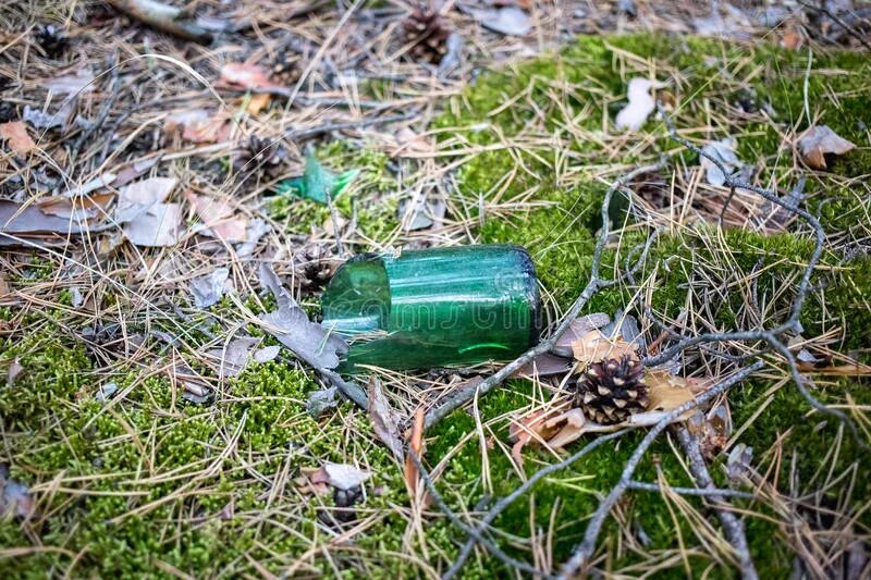Стеклянная бутылка в лесу. Осколки бутылки. Стеклянная бутылка на траве. Разбитое стекло в лесу.