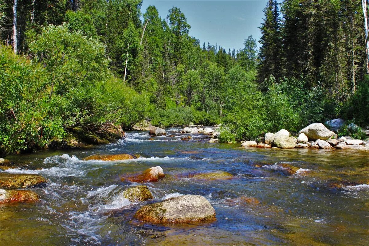 Песня речка быстрая каменистая