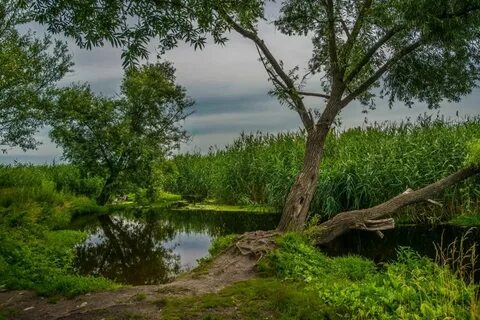 Алексеевка воронежская область