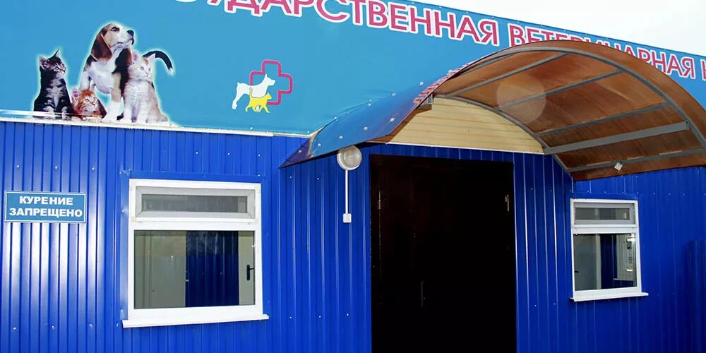 Ветеринарный участок коминтерновского района. Воронежская городская ветеринарная клиника. Сова ветклиника воронеж. Государственная ветклиника воронеж. Государственная ветклиника воронеж.