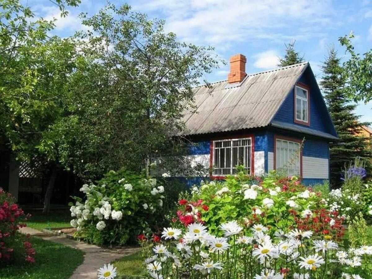 Домик на майской беларусь. Сельский домик. Сельский дом. Красивая дача. Сельский домик.