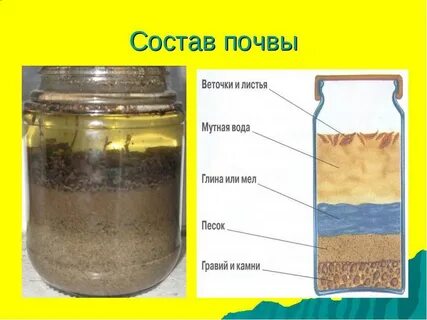 Что входит в состав почвы