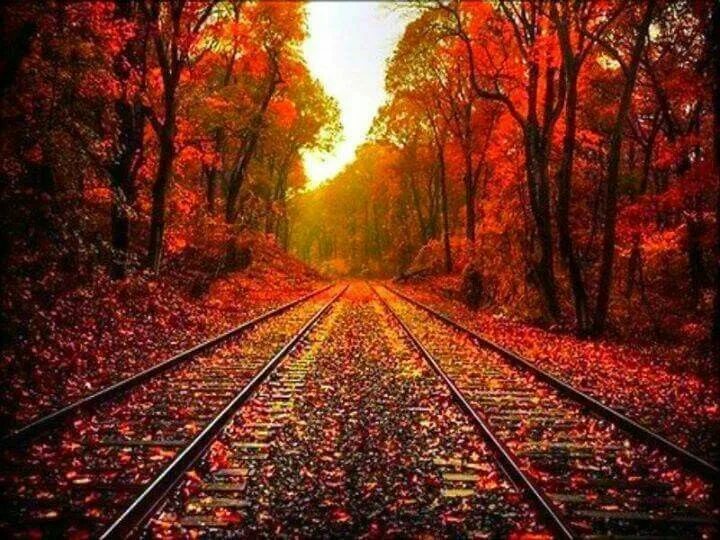 Извилистая дорога. Fall that way. Осень в лесу. Fall that way. Железная дорога осень.