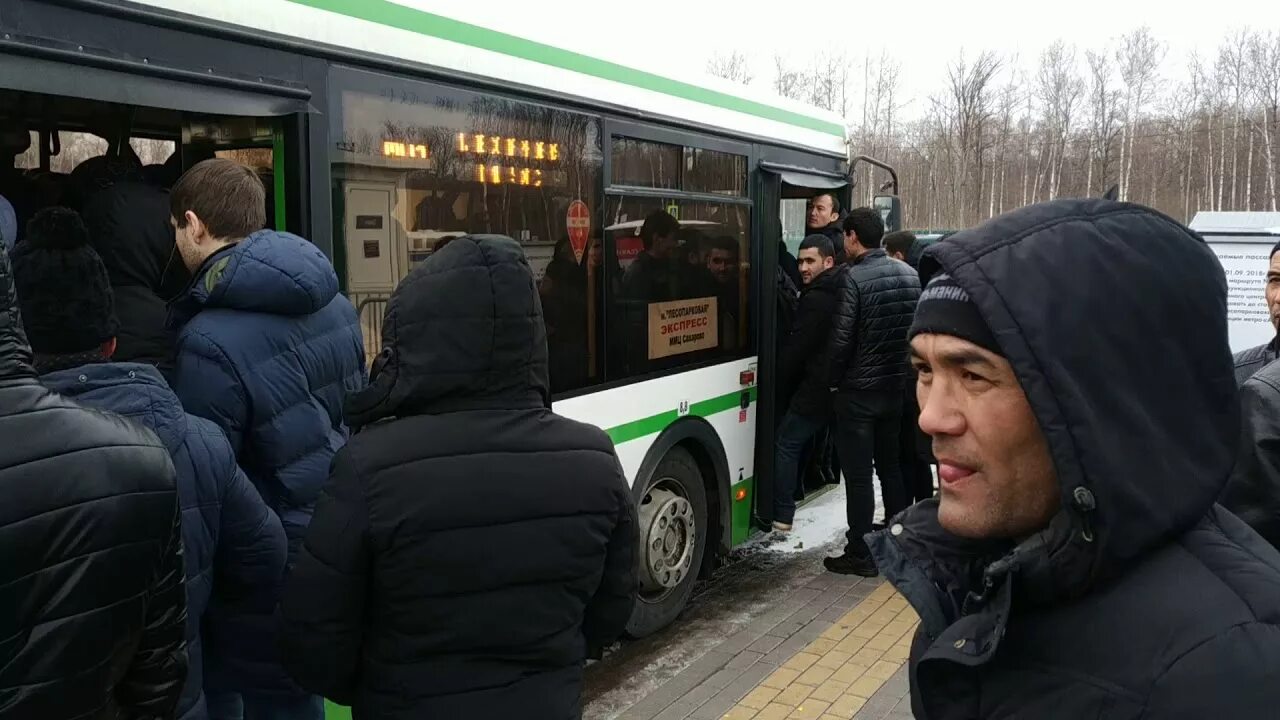 Сахарово миграционный центр. ФМС Сахарово миграционный центр. Сухарево миграционный центр. Автобус Сахарово. Ммц сахарово график