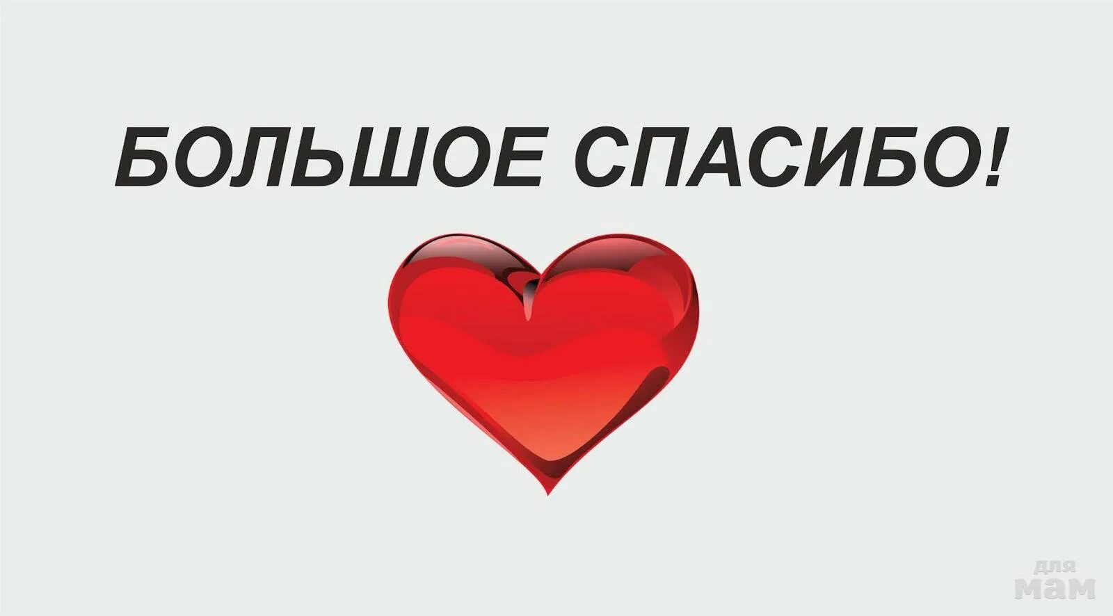 Укажи скажу спасибо. Огромное спасибо. Спасибо вам большое. Спасибо большое надпись. Огромное сердечное спасибо.