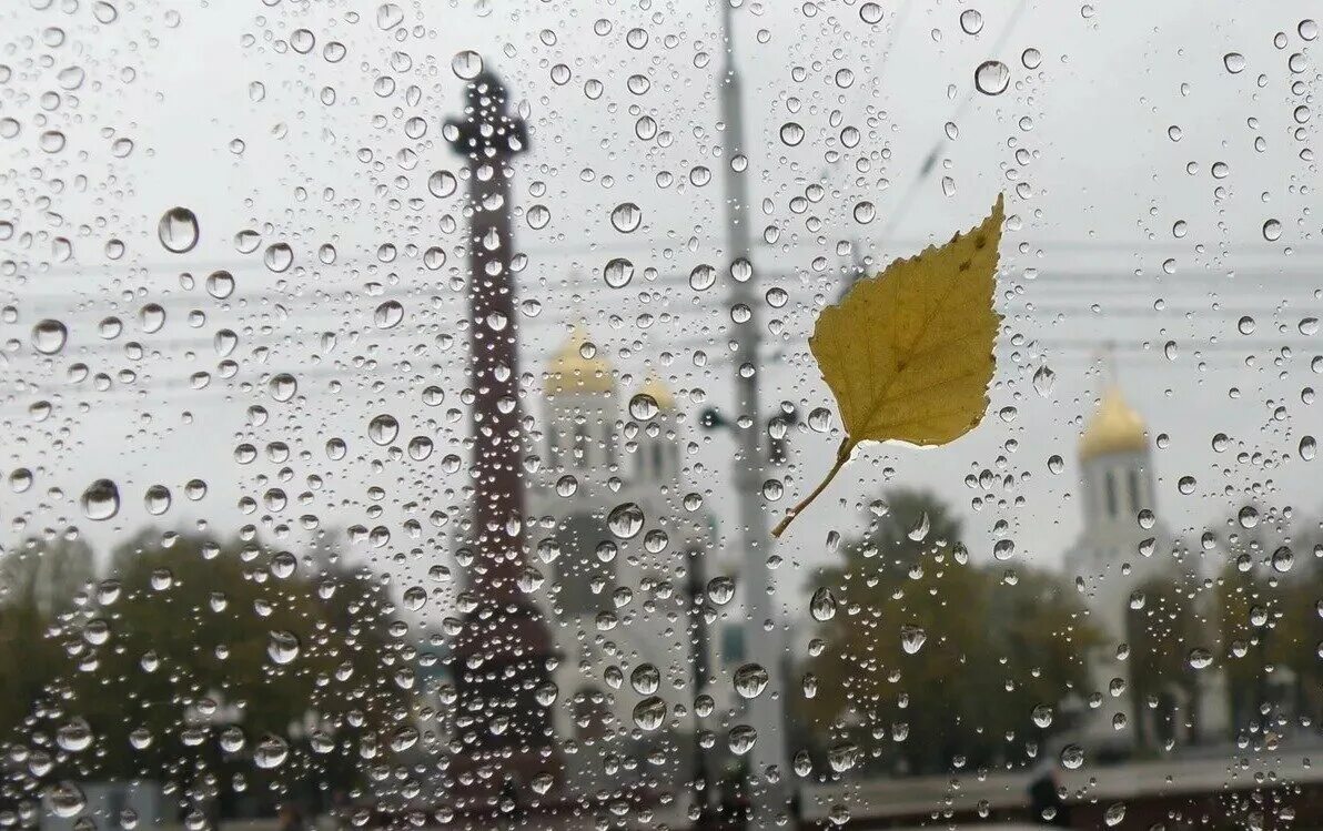 Дождливый дневник. Осенний дождь. Осень дождь. Дождь за окном в городе. Дождь в городе.