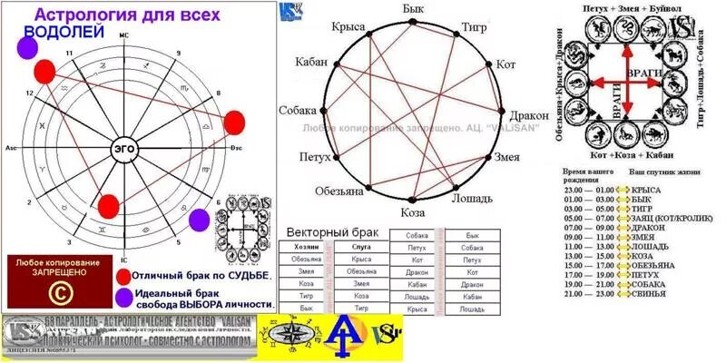 Совместимость мужчины весы дракона. Астрология совместимость. Совместимость знаков зодиака. Водолей астрология. Схема совместимости знаков зодиака.