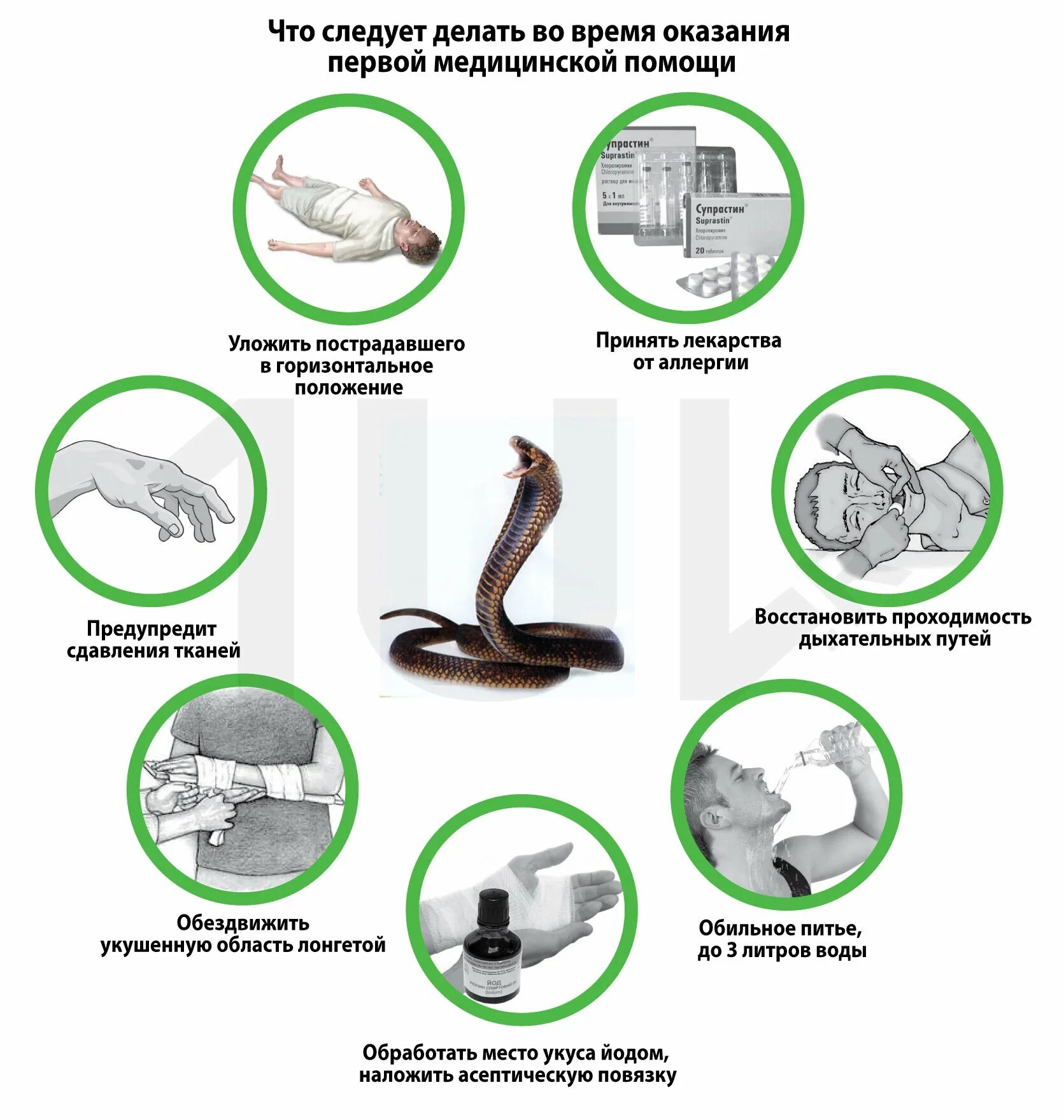 Медицинская помощь при укусах змей. Оказание первой помощи при укусе змеи. Порядок оказания помощи при укусе змеи. Памятка оказание первой помощи при укусе змеи. Порядок оказания первой помощи при укусе ядовитых змеи.