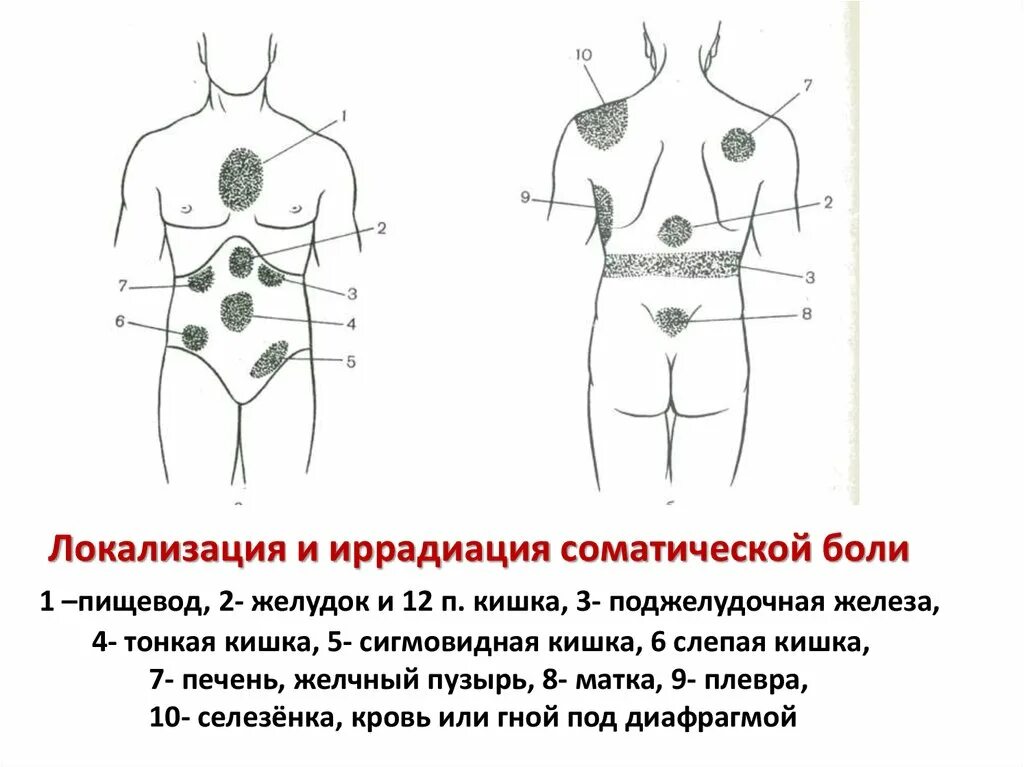 Иррадиация внизу живота