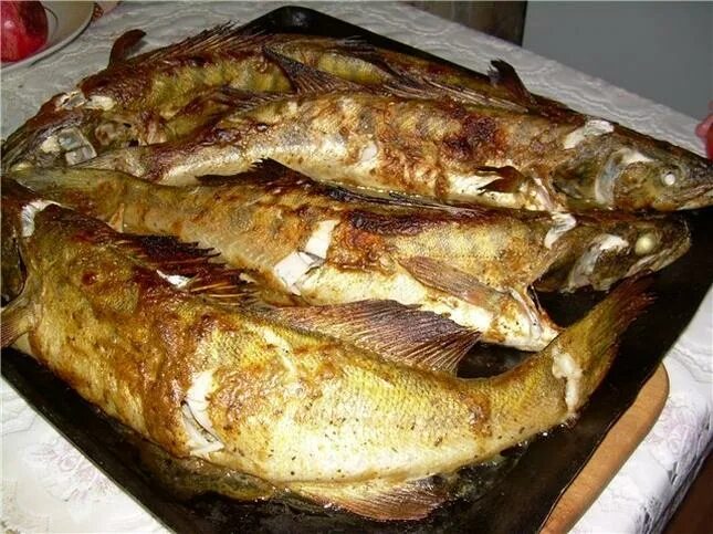 Судак рыба запеченная. Рыба запеченная в омлете. Волжский судак жареный. Брусочки судака в духовке. Судак в фольге.